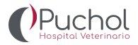 Logo Hospital Veterinario Puchol en Madrid