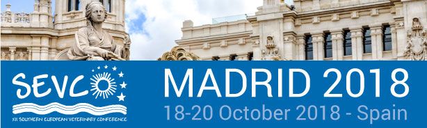 Congreso SVEC’18 en Madrid