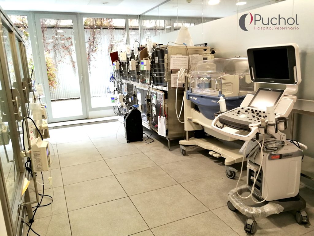 Hospital Veterinario Puchol Hospital Veterinario Puchol
