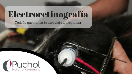 pruebas oftalmológicas: electrorretinografía