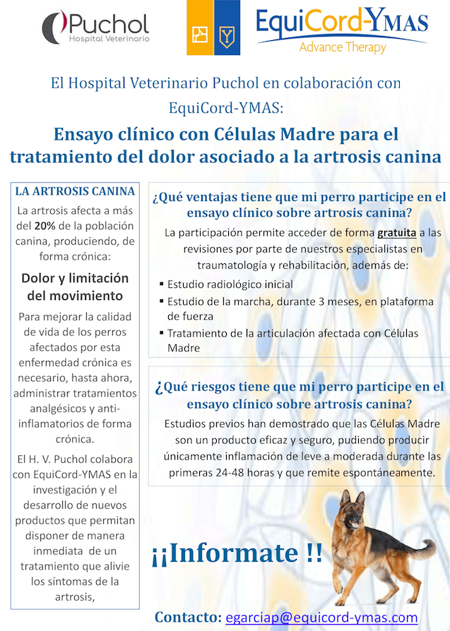 Artrosis canina