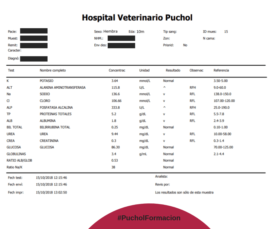Bioqumica anorexia en perros