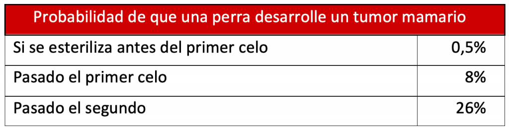 estadistica razas perro propensas a tumores mamarios