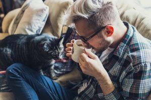 Confinado con tu gato