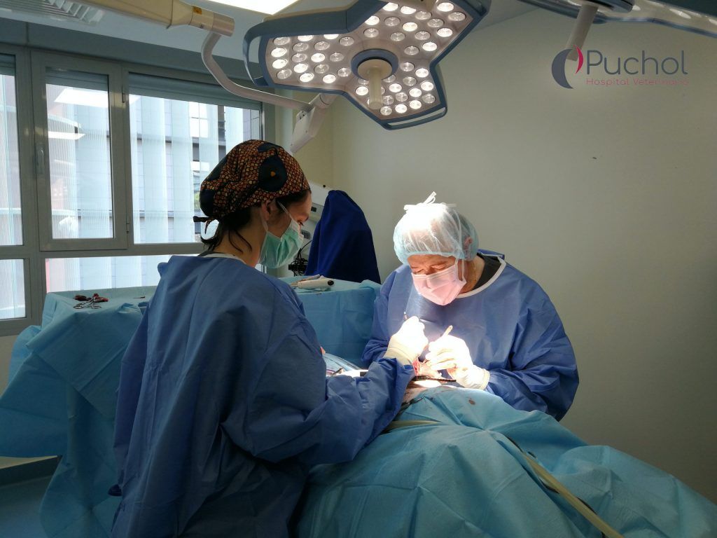 intervencion_quirurgica