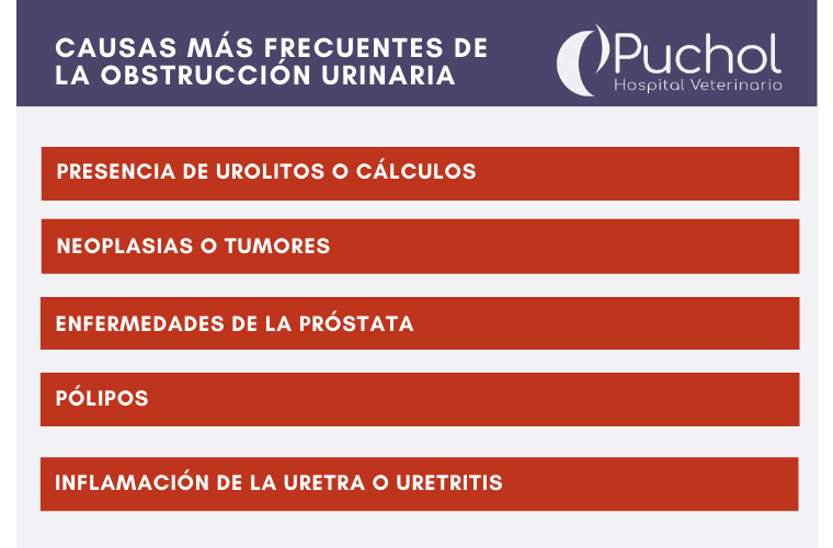 Causas más frecuentes de obstrucción urinaria
