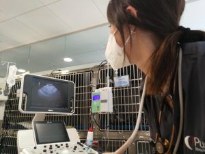 Ecografía urgente en un paciente grave con Cetoacidosis diabética