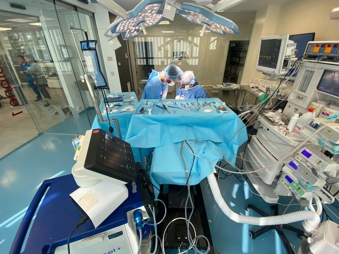 operacion en hospital especializado en neurologia veterinaria en madrid