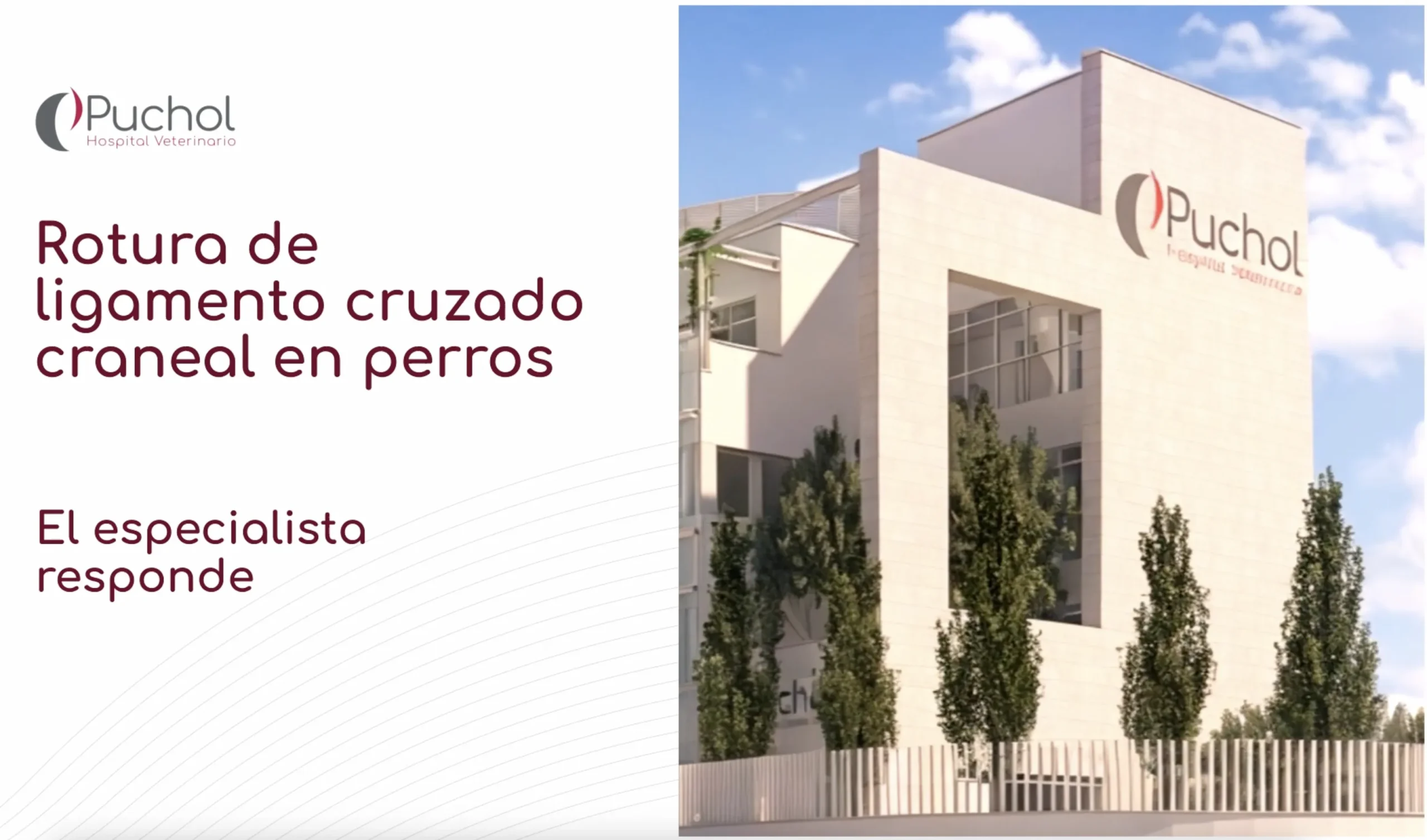 Rotura